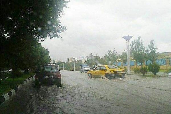 بارش باران چهارمحال و بختیاری را فرا گرفت بارش باران چهارمحال و بختیاری را فرا گرفت