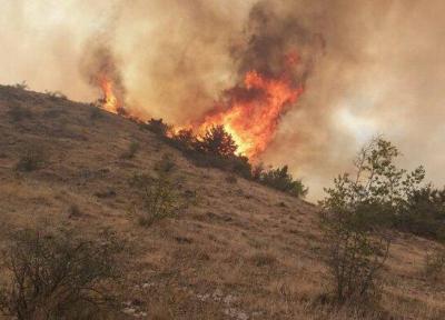 459 هکتار از مراتع و جنگل های لرستان طعمه حریق شدند