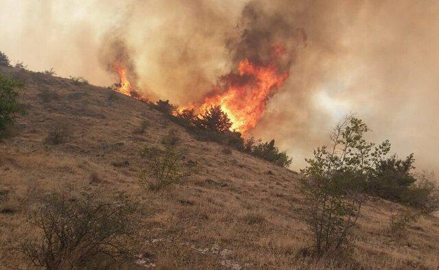 459 هکتار از مراتع و جنگل های لرستان طعمه حریق شدند 459 هکتار از مراتع و جنگل های لرستان طعمه حریق شدند