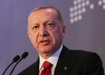 پیشنهاد مشکوک اردوغان برای ایجاد منطقه امن نفتی در سوریه
