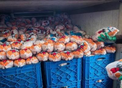 توزیع 2هزار تن مرغ منجمد برای تنظیم بازار خوزستان