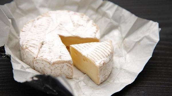 پنیر نروژی که پوکی استخوان را متوقف می نماید