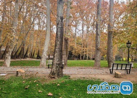 شکایت شهرداری تهران از کاخ سعدآباد بابت قطع 15 درخت