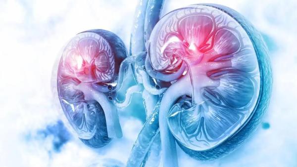 از عوارض کلیوی لوپوس چه می دانید؟ دانستنی های مهم و کاربردی